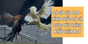 đá gà cựa dao 78win